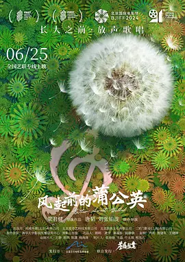 苍井空自曝喜欢王宝强